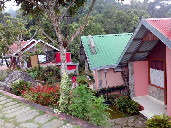 Darjeeling Blossom Ecotourism Complex, Chota Mangwa
